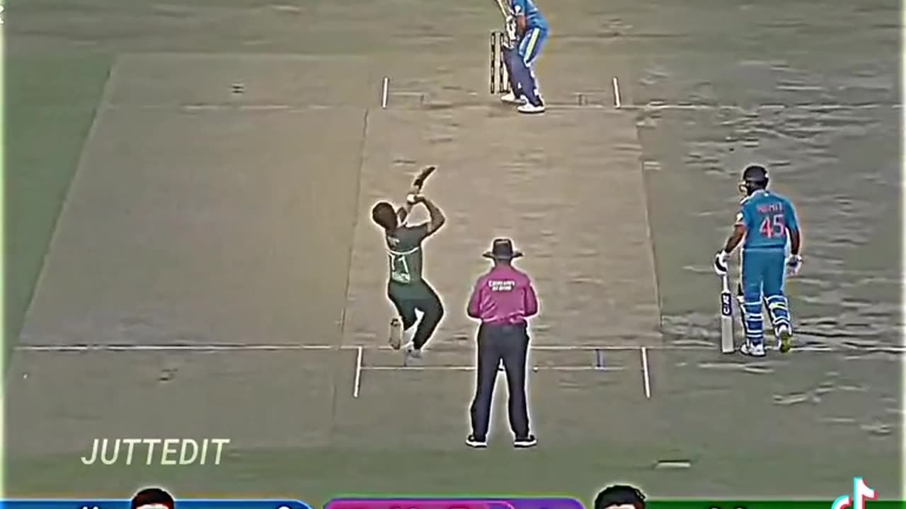 Cricket