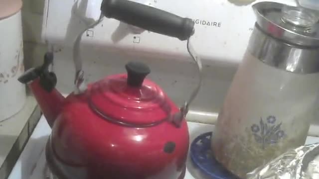 I'm A Little Teapot Short And Stout. (but I'm not aluminum.)