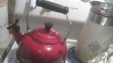 I'm A Little Teapot Short And Stout. (but I'm not aluminum.)