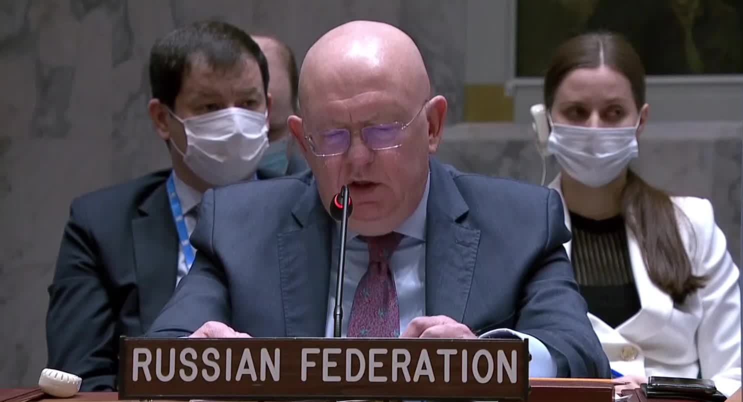 Russian UN Rep Accuses US of Testing Coronavirus in Bats in Ukraine at Security Council