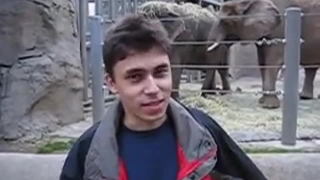 animals at the zoo