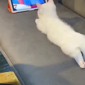 I can only watch TV for an hour