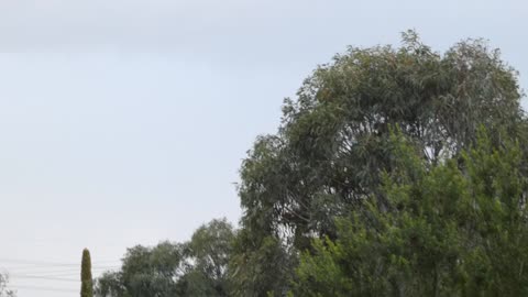 Police helicopter Mill Park Melbourne Australia