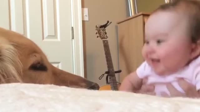 Babies laughing videos