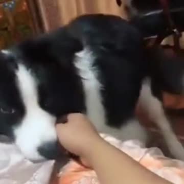 get up stop sleeping