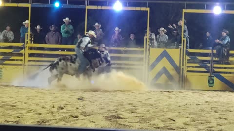 Annual Rodeo