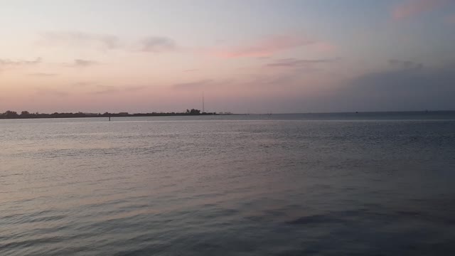 Dolphin swimming where I paddle