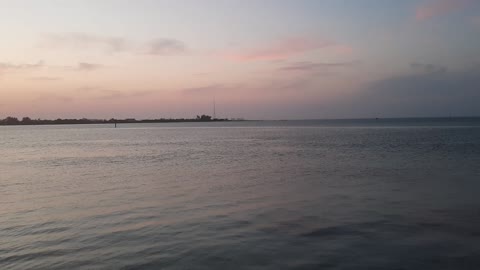 Dolphin swimming where I paddle