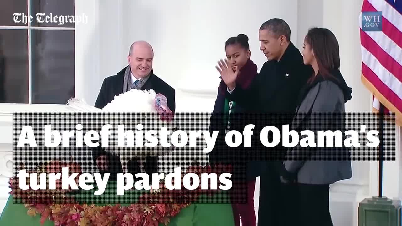 The best moments from all of Barack Obama's Thanksgiving turkey pardons