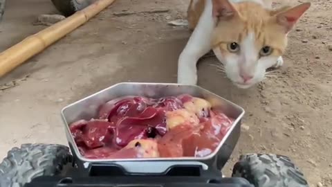 And easy access for you to make 😉 😏 😜 😀 😎 you