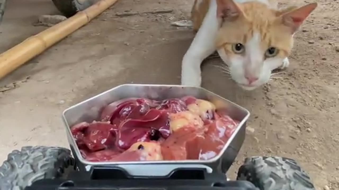 And easy access for you to make 😉 😏 😜 😀 😎 you