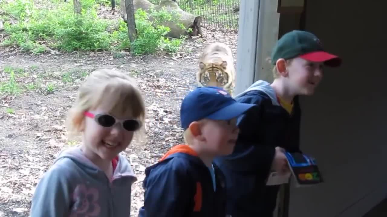 Funny video babier at zoo - Very funny