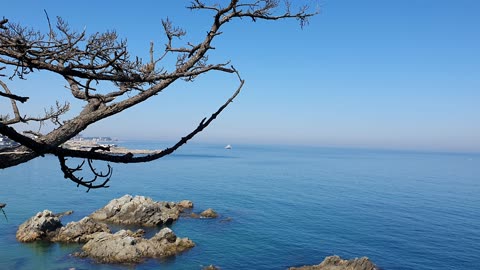 view of the sea with a view of trees