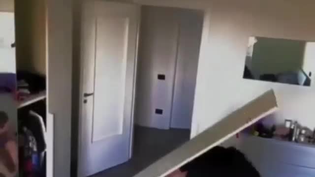That's show show must Go on funny videos