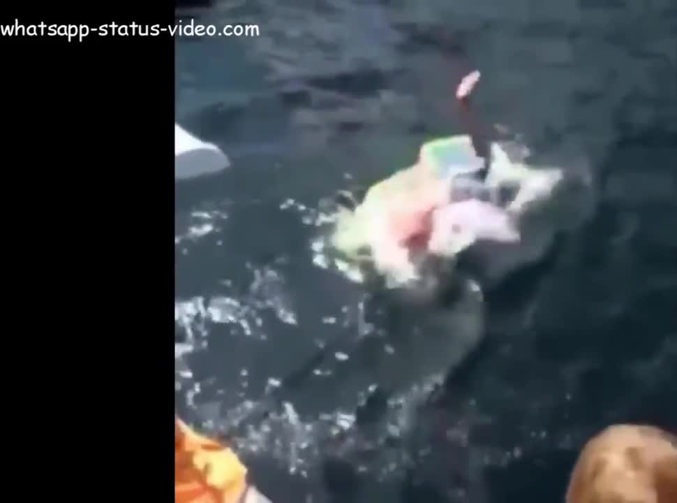 Dude Falls Off Boat And Breaks His Butt