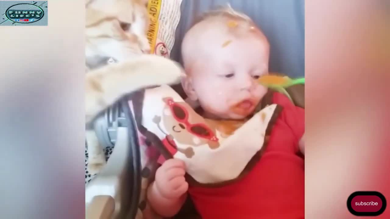 Baby and Cat Fun and Cute - Funny Baby Video! babies