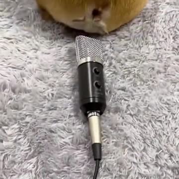 Woow must watch this