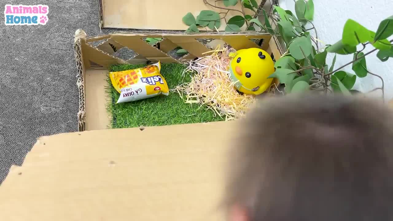 Smart BiBi makes noodles