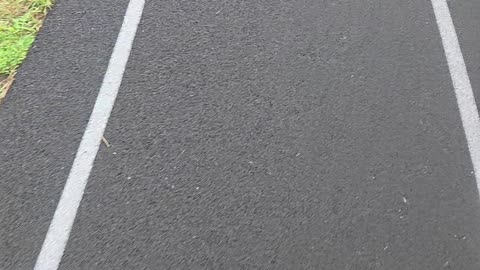 55 walking the track