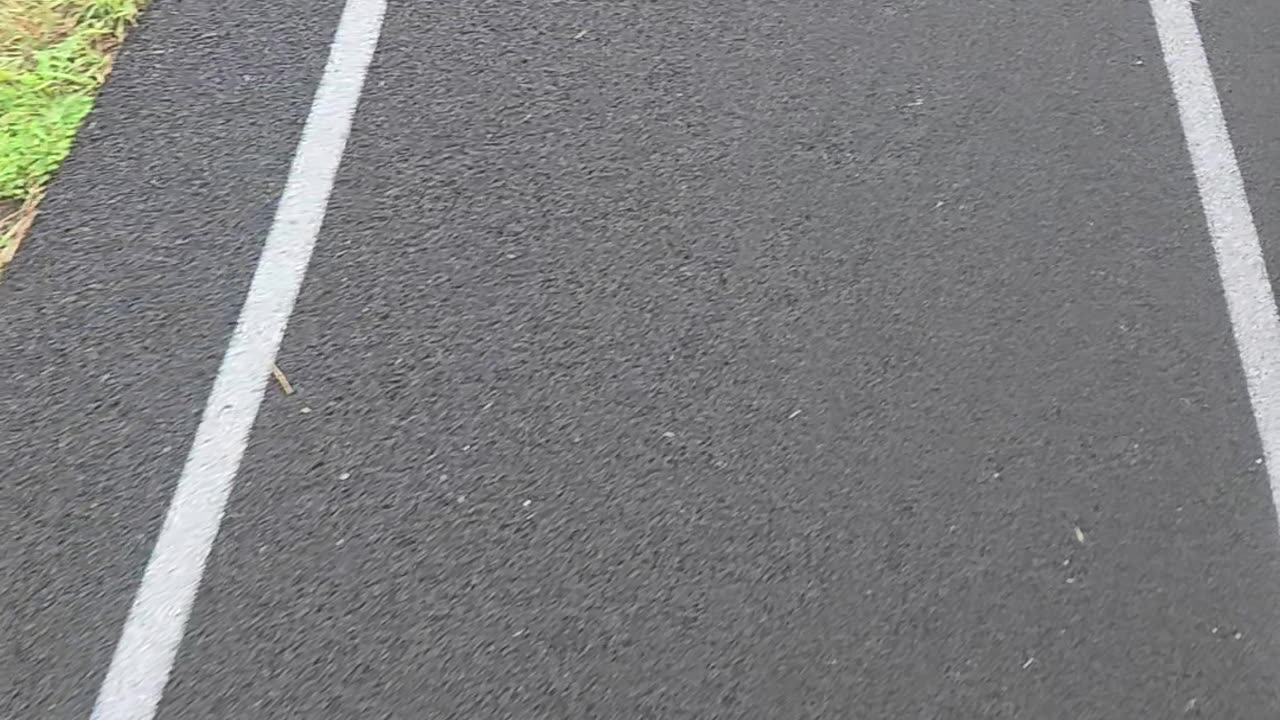 55 walking the track