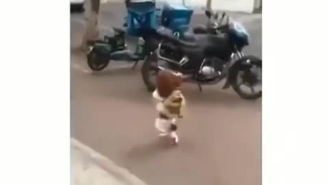 Dog moving like human being around the town|so cute 💗