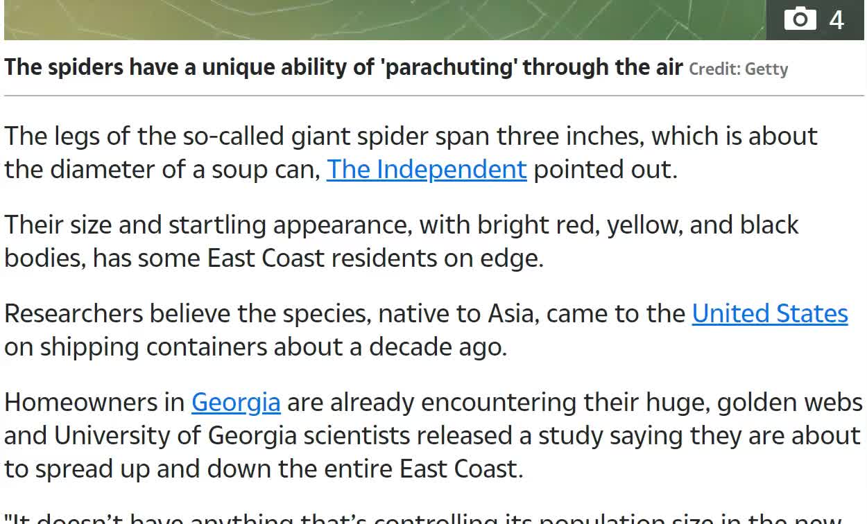 Invasive Giant Joro Spiders Set to 'Parachute' Up the East Coast