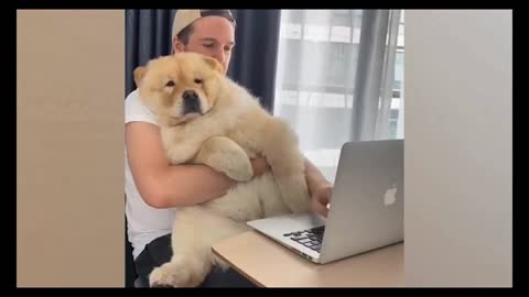 😁 Trying to type on my computer while hugging my baby 😁