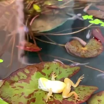 Living the good life freedom 55 🤣🤣