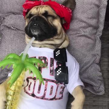 Free bar be hitting like.....