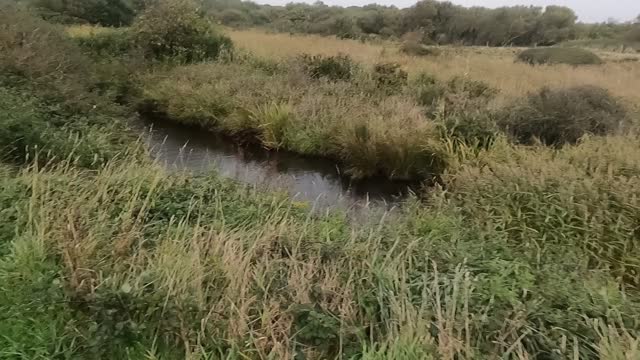 Walking a little path next to a nature reserve . South coast England