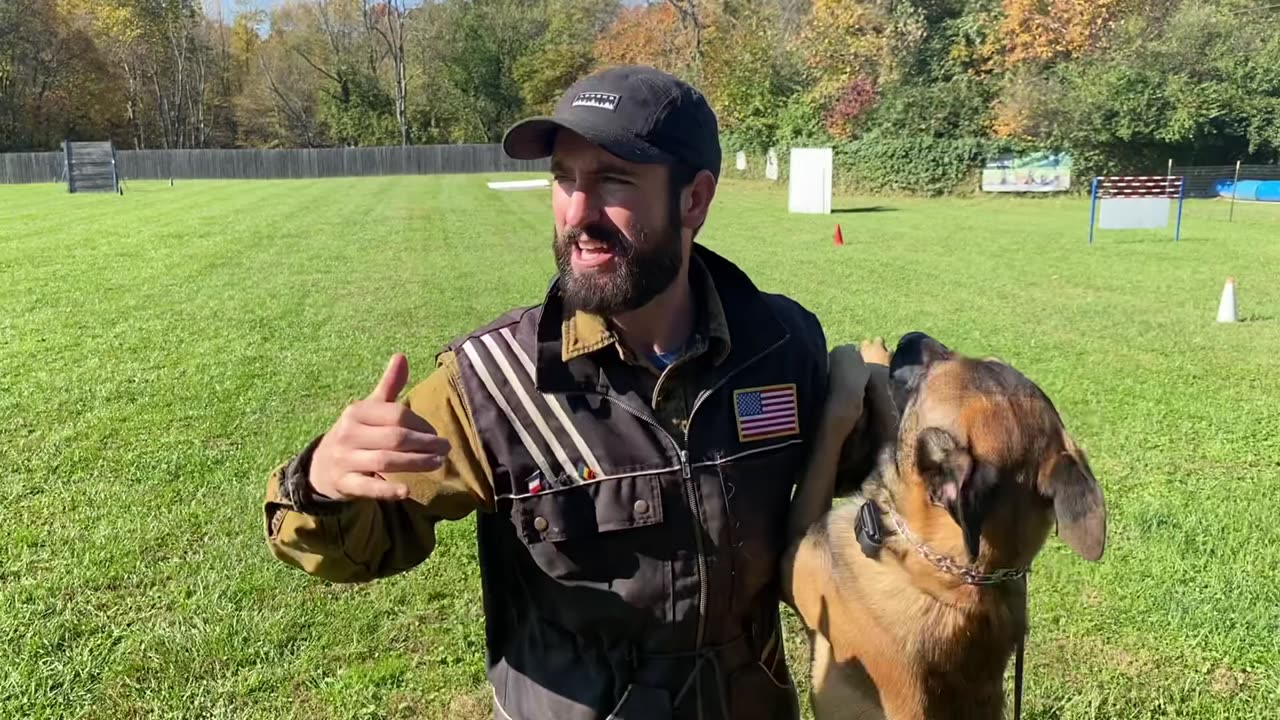 EASY OBEDIENCE TRAINING WITH MY BELGIAN MALINOIS PUPPY! HEEL_ SIT_ DOWN_ STAY!