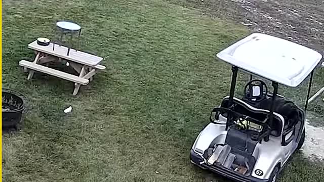 Moments You Won't Believe If Not Filmed