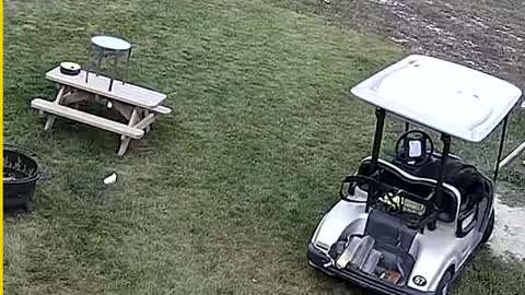 Moments You Won't Believe If Not Filmed