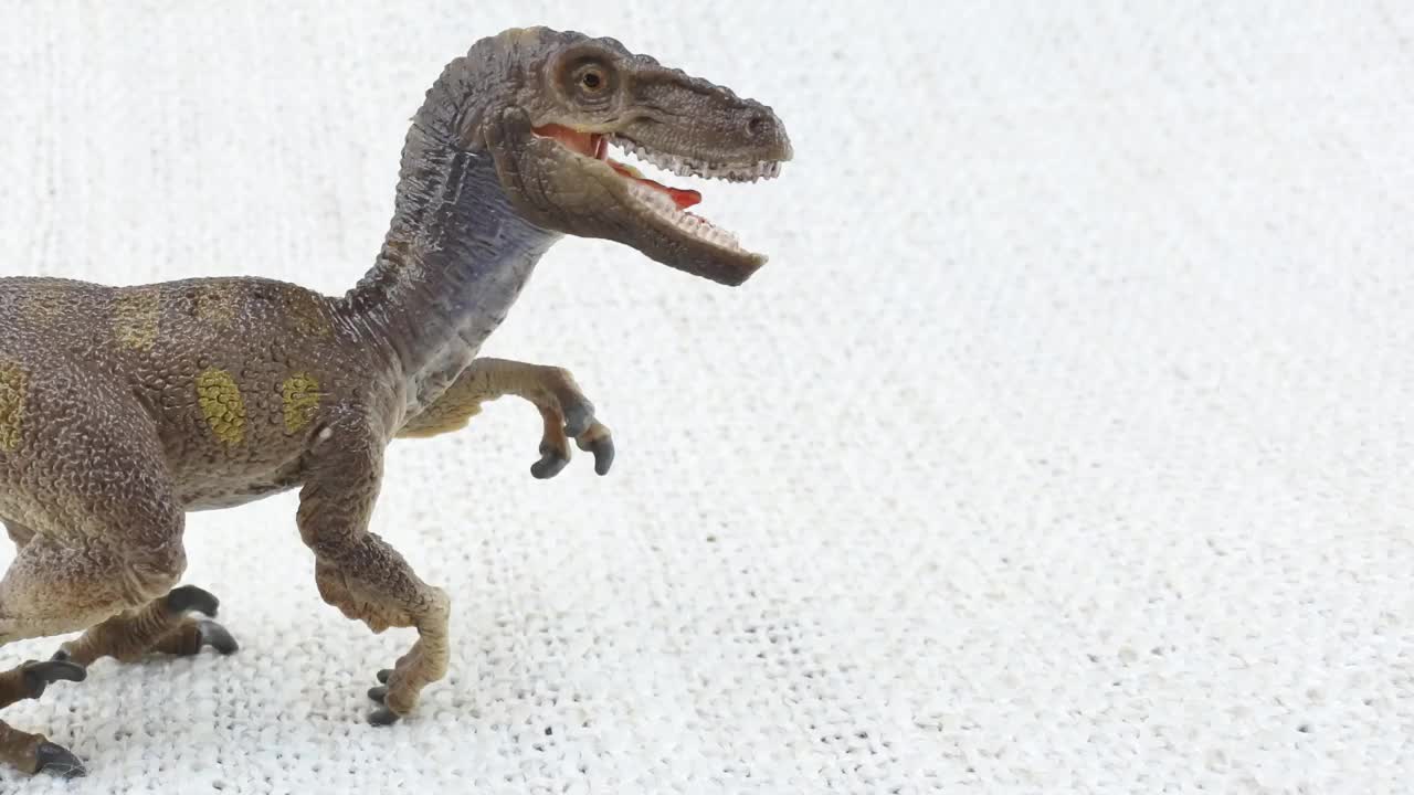 VELOCIRAPTOR FACTS! Fun & Educational Dinosaurs For Kids Best Dinosaur Facts FOR EDUCATIONAL