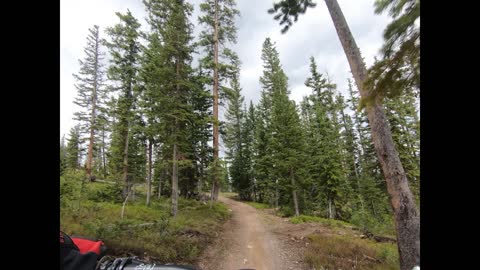 Opening day Trestle - 06/19/22