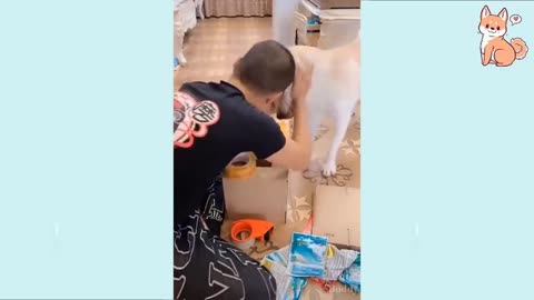 #CuteDog #BabyDog #CutePuppies
