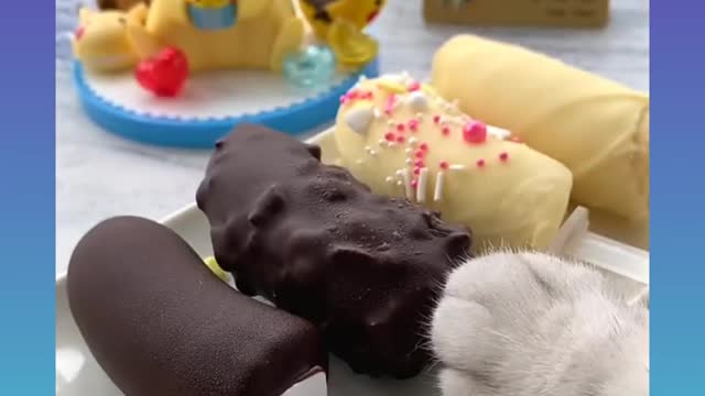 Cat..cat make banana choclets..cat funny video trening