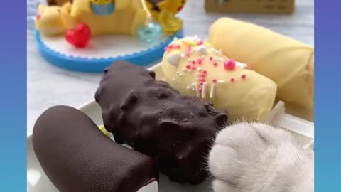 Cat..cat make banana choclets..cat funny video trening