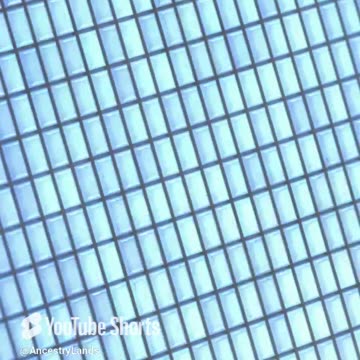 Never Give Up DONT QUIT