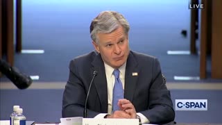 Director Christopher Wray and Woke FBI Practices EXPOSED by Ted Cruz