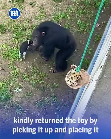 He is such a good boy! 😍