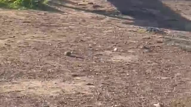 UPRISING OVER ELECTRICITY CRISIS CAPE TOWN