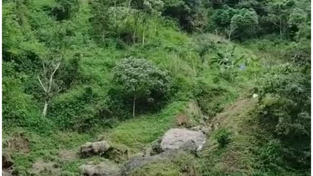 TATAR SUNDA NATURE WITH THE MOUNTAINS