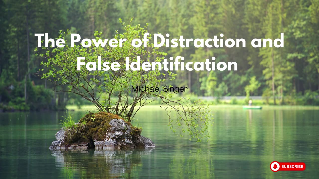 Michael Singer - The Power of Distraction and False Identification
