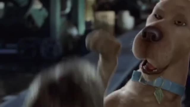 Ironmanduck as Shaggy