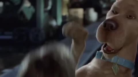 Ironmanduck as Shaggy