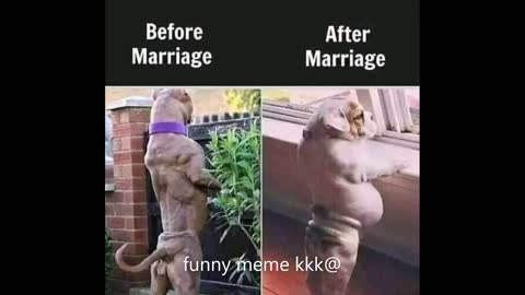 Exposed marriage problems caused by men🤣🤣