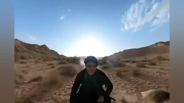 Arabian_warrior_woman CowGirl ๐ฆ๐ streaming tv viral tendance Thoroughbred