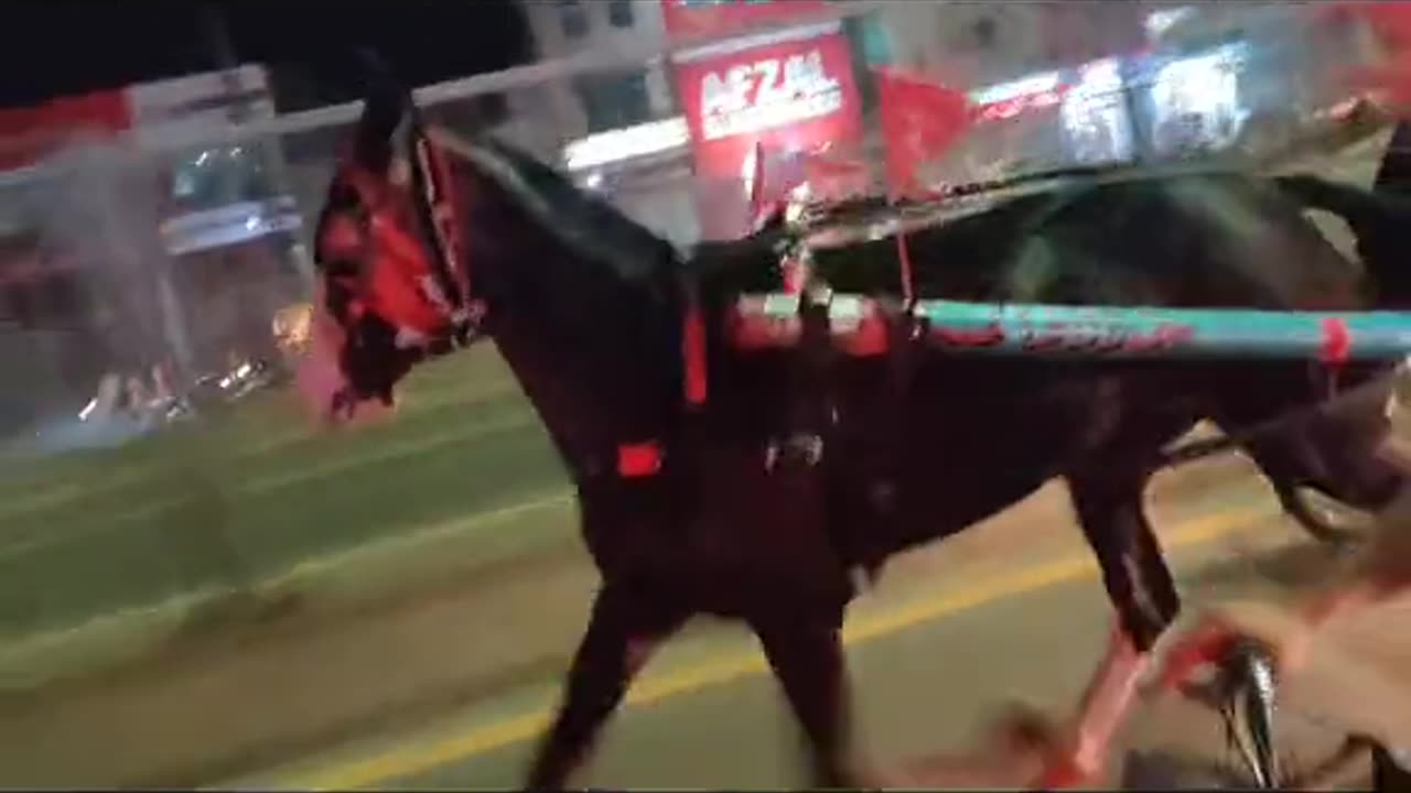 Horse on Lahore road