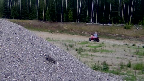 fun on the wheeler, round 2